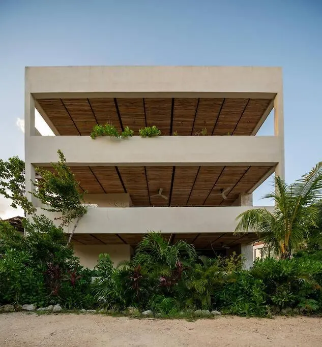 Jungle Sky Loft Διαμέρισμα Τουλούμ
