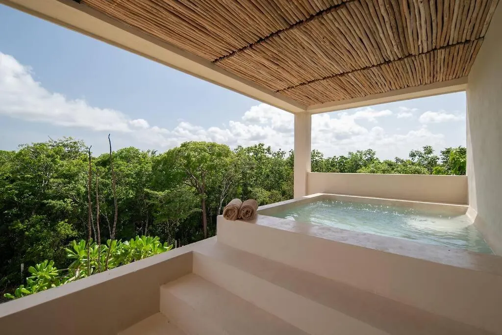 Jungle Sky Loft Διαμέρισμα Τουλούμ