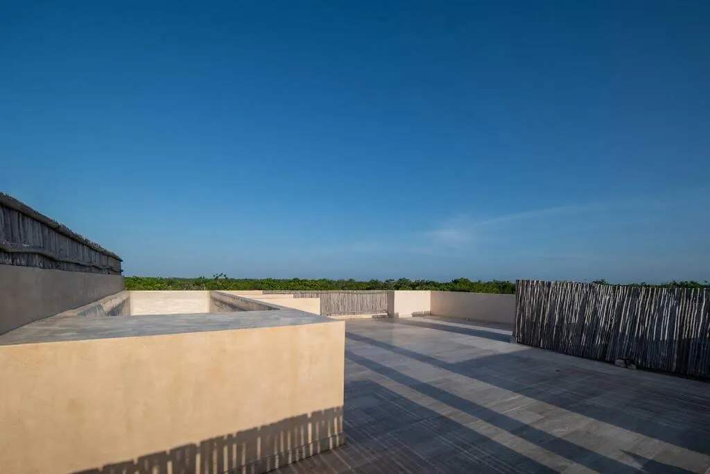 Jungle Sky Loft Διαμέρισμα Τουλούμ